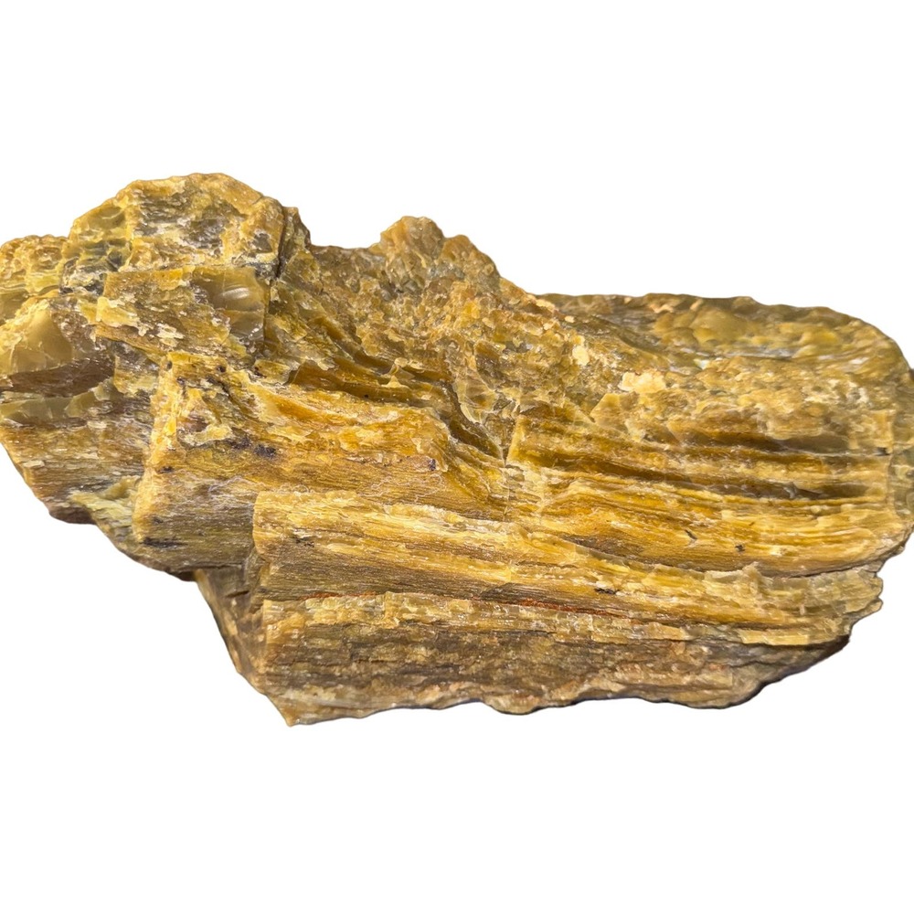 12.7lb RARE CRYSTALLIZED PETRIFIED WOOD‎ SLAB|OREGON MINED